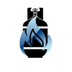 Titan Gas Systems Logo
